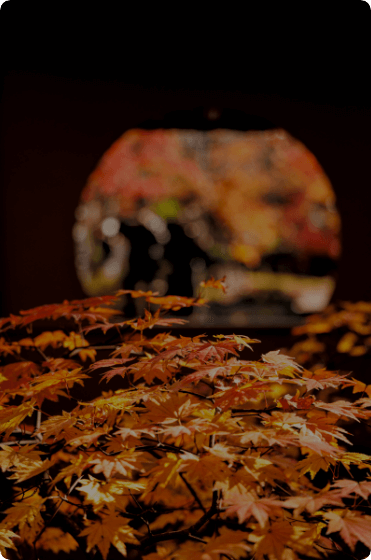 秋のイメージ